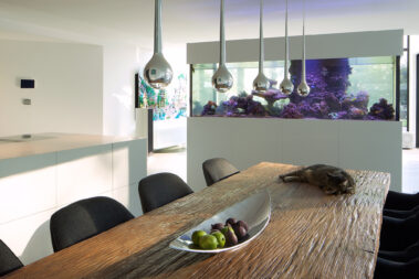 Winkel Einfamilienhaus