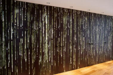 Würenlos Einfamilienhaus